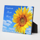 Search for sunflower plaques Summer