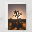 Search for joshua tree cards Nature