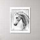 Search for horse art Black and white