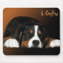 Search for bernese mountain dog mousepads Dogs