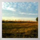 Search for sea oat art Grass