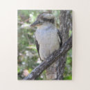 Search for kingfisher puzzles Australia