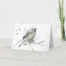 Search for study cards Animal