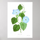 Search for ipomoea Vintage
