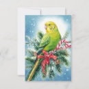 Search for parakeet christmas cards Budgie