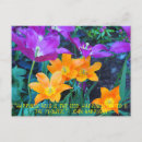 Search for beautiful spring postcards Tulips