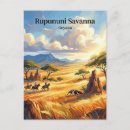 Search for savanna postcards Travel