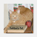 Search for teachers pet Apple