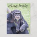 Search for cute chimpanzee postcards Humour
