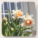 Search for coasters Flowers