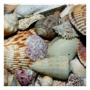 Search for collectors posters Sea
