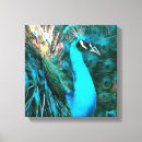 Search for vibrant canvas prints Animals