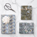Search for money wrapping paper Coins