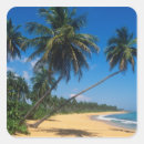 Search for isla stickers Nobody