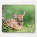 Search for lay mousepads Nature