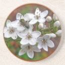 Search for flying bee Flower