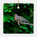 Search for mourning doves christmas tree decorations Nature