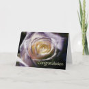 Search for rose congratulations cards Modern