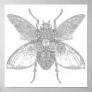 Search for insect posters Detailed