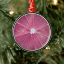 Search for citrus christmas tree decorations Pink