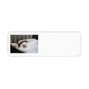 Search for calico cat return address labels Feline