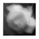 Search for contrast photography White