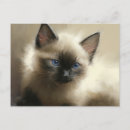 Search for innocent postcards Adorable