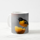 Search for oriole mugs Birding