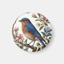 Search for bluebird magnets Nature