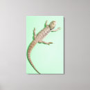 Search for high angle view canvas prints Viewpoint