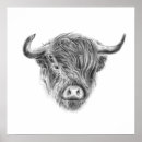 Search for wee posters Highland cow