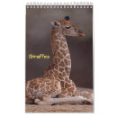 Search for giraffe calendars Animal