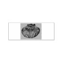 Search for shell rubber stamps Nautical