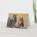 Search for screech cards Birds of prey