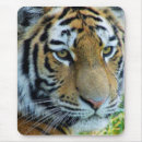 Search for siberian tigers mousepads Cat