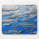 Search for conform mousepads Wildlife
