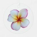 Search for plumeria christmas tree decorations Frangipani