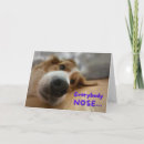 Search for dog jokes cards Dad