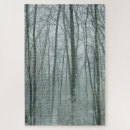 Search for snowstorm puzzles Nature