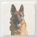 Search for german shepherd coasters Pets