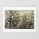 Search for 300 postcards Lantern