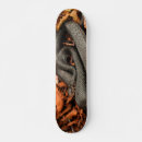 Search for snake skateboards Reptile
