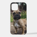 Search for french bulldog iphone cases Frenchie