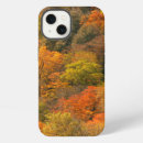 Search for fall foliage cases Orange