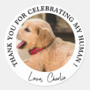 Search for pet wedding stickers typography