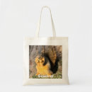 Search for gray squirrel accessories Rodent