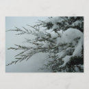Search for snow wedding invitations Winter