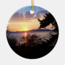 Search for sunrises christmas tree decorations Washington