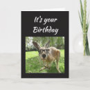 Search for australia birthday cards Cute