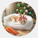 Search for cuddly stickers Bunny